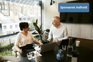 Få styr på tallene med en revisor